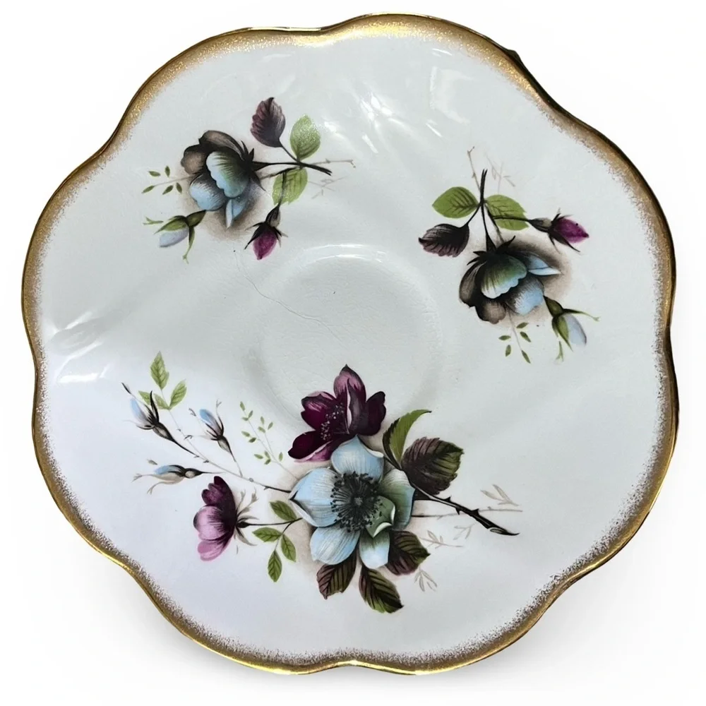 Rosina Bone China Floral Tea Cup and Saucer